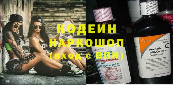 стафф Каменка