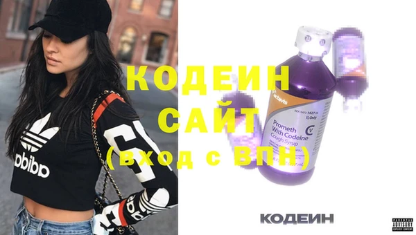 стафф Каменка