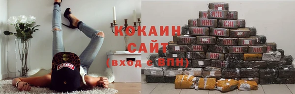 стафф Каменка