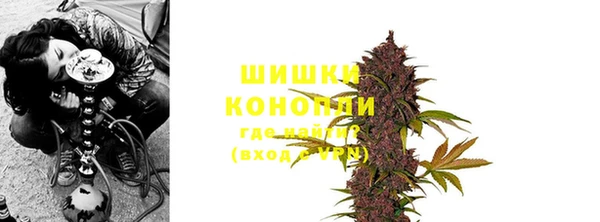 стафф Каменка