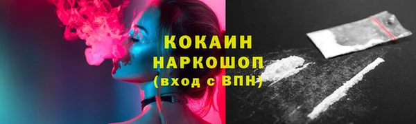 стафф Каменка