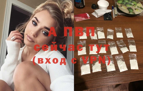 стафф Каменка