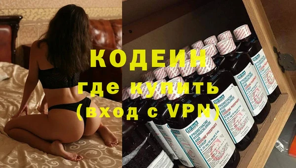 МДПВ Инсар