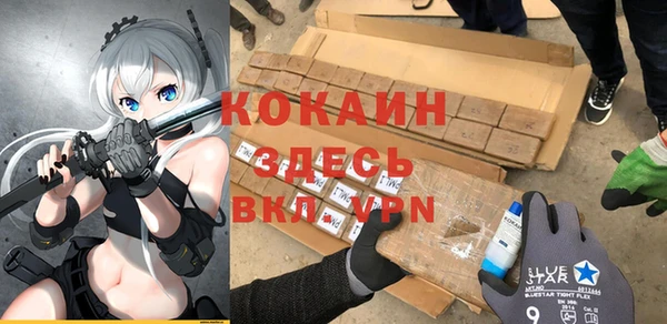 мдпв Каменногорск