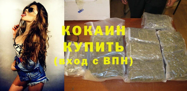 мдпв Каменногорск