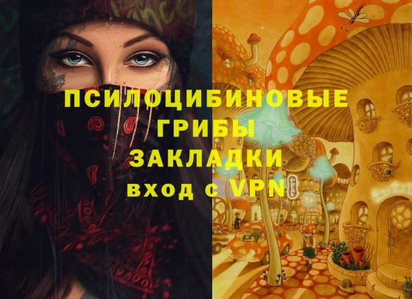 мдпв Каменногорск