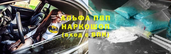 стафф Каменка