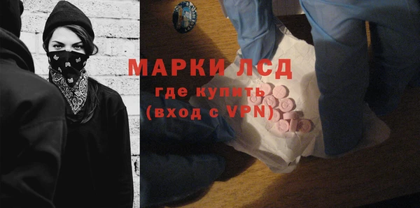 мдпв Каменногорск